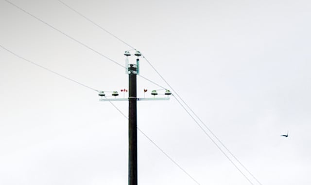 7123bebf-e61c-440b-bad9-d938a57dbcb0